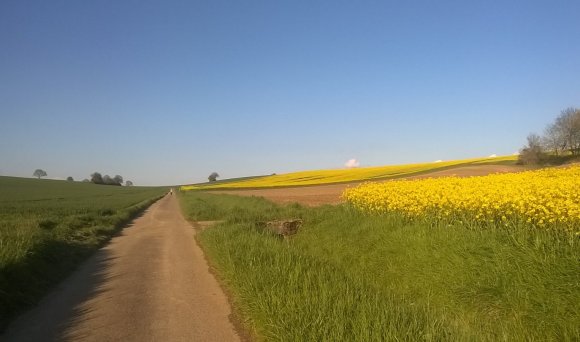 2016/04/28 - Beim Joggen auf - und um - den Flehinger Götzenberg